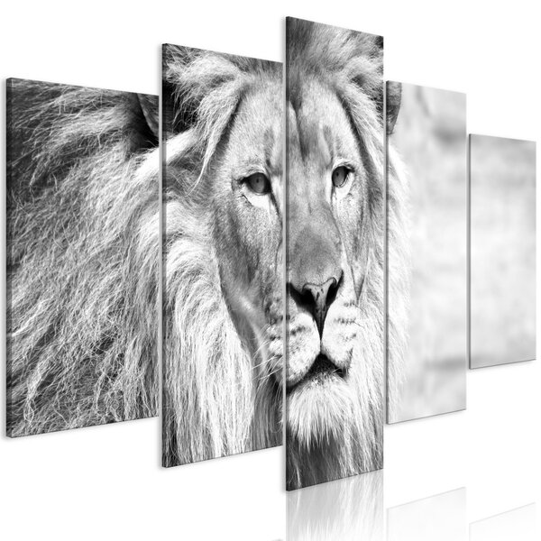 Kép - The King of Beasts (5 Parts) Wide Black and White