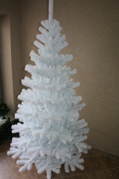 JAKS Fehér lucfenyő 150 cm