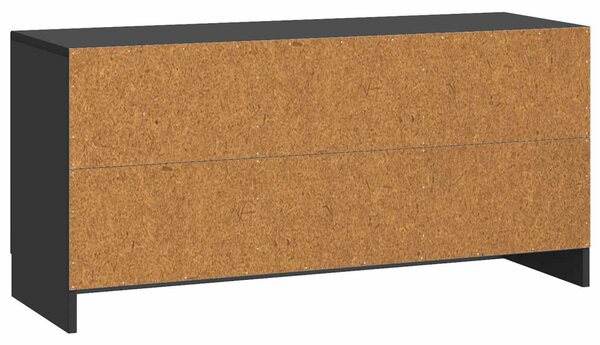 TV szekrény Fekete 99 x 34,5 x 47 cm Szerelt Fa
