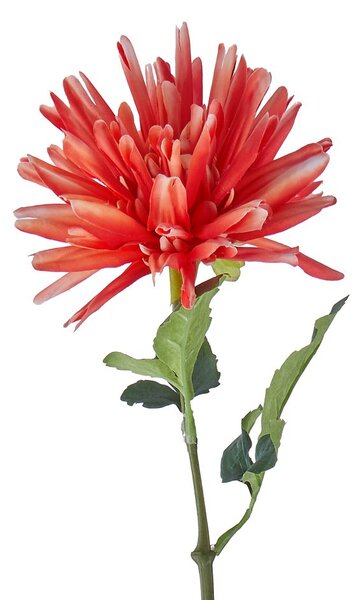 FLORISTA dália 59 cm, piros