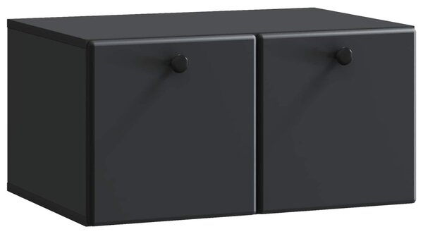 Fali TV szekrény 59,5 x 41 x 30 cm Fekete Szerelt Fa