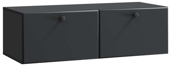 Fali TV szekrény 98 x 41 x 30 cm Fekete Szerelt Fa