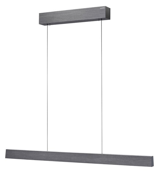 Függőlámpa PURE, PURE E-Motion, dimmable, Szürke, Nappali, Fém, Modern