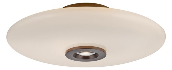 Mennyezeti Lámpa PURE, Vitrum, dimmable, Barna / Rozsdabarna, Nappali, Üveg, Modern