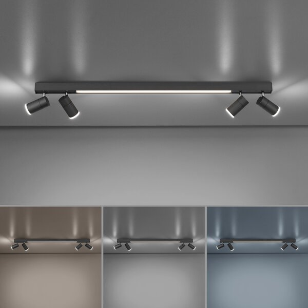 Mennyezeti Lámpa PURE, PURE Lines Spot, dimmable, Fekete, Nappali, Fém, Modern