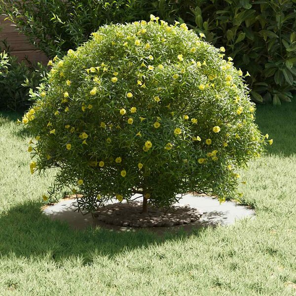 Alkalmas lapos fa gyűrűhöz Fehér Ø30/60 cm Acél