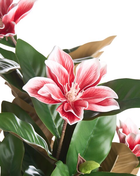 Műnövény MAGNOLIA TREE 90 cm Piros