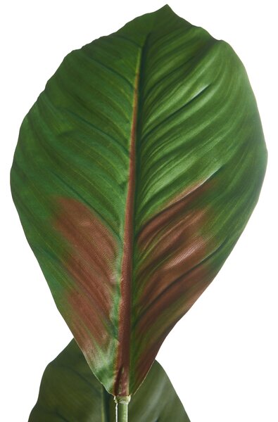 Műnövény PURPURATA 130 cm Piros