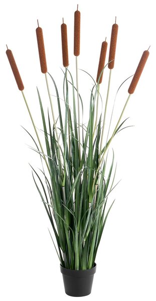 Műnövény BULRUSH 135 cm Zöld