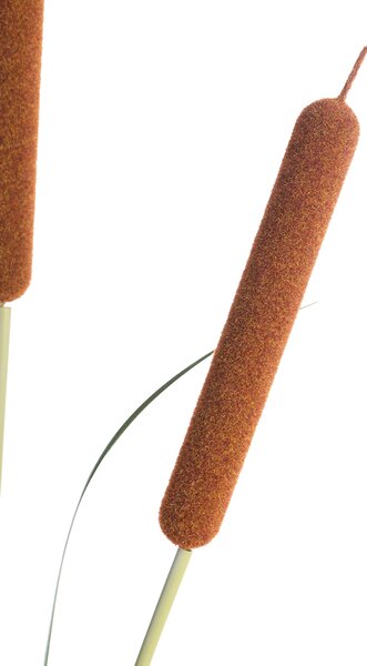 Műnövény BULRUSH 135 cm Zöld