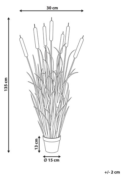 Műnövény BULRUSH 135 cm Zöld