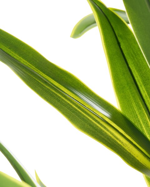 Műnövény DRACAENA TREE 150 cm Zöld