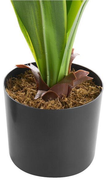 Műnövény DRACAENA TREE 150 cm Zöld