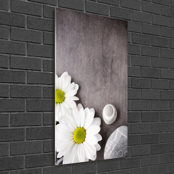 Akrilkép Gerbera