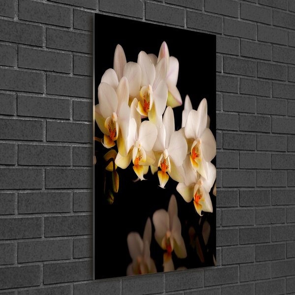 Akrilkép Orchidea