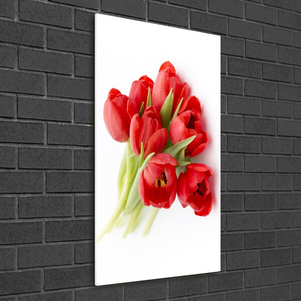 Akrilkép Piros tulipánok