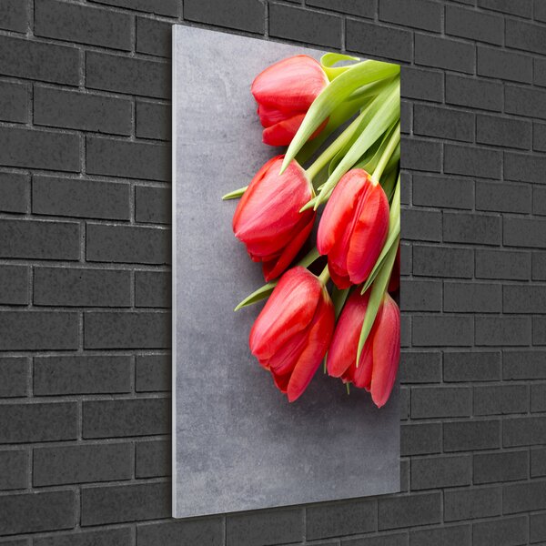 Akrilkép Piros tulipánok