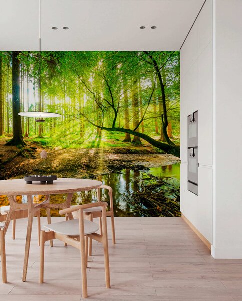 Fotótapéta Az erdei patak átlátszósága, Természet fotótapéta, u93621 : Uwalls.hu