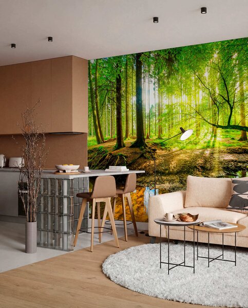 Fotótapéta Az erdei patak átlátszósága, Természet fotótapéta, u93621 : Uwalls.hu