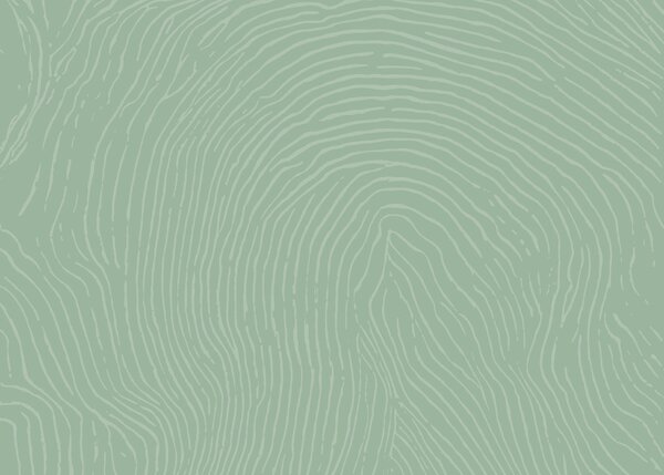 Fotótapéta Zöld-fehér mintázat, Absztrakt fotótapéta, Népszerű fotótapéta, t00876v2 - Tapeko.hu