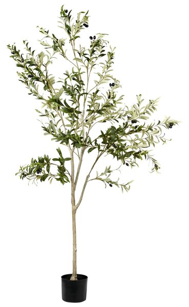 Műnövény OLIVE TREE 178 cm Zöld