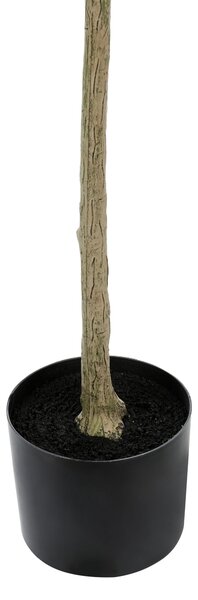 Műnövény OLIVE TREE 178 cm Zöld