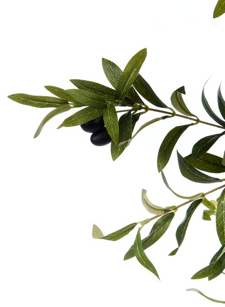 Műnövény OLIVE TREE 178 cm Zöld