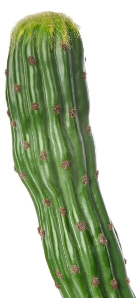 Műnövény MAROCCO CEREUS 115 cm Zöld