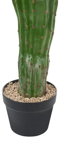 Műnövény MAROCCO CEREUS 115 cm Zöld