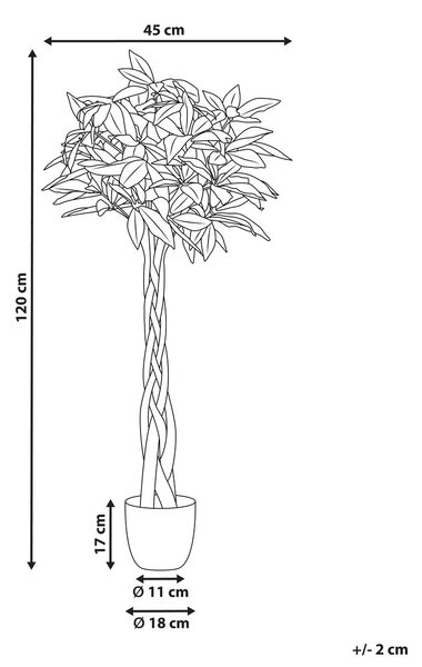 Műnövény PACHIRA TREE 120 cm Zöld