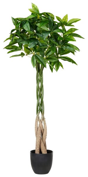 Műnövény PACHIRA TREE 120 cm Zöld