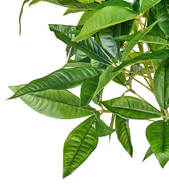 Műnövény PACHIRA TREE 120 cm Zöld