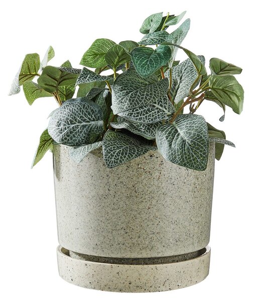 PLANT kaspó alátéttel Ø20cm