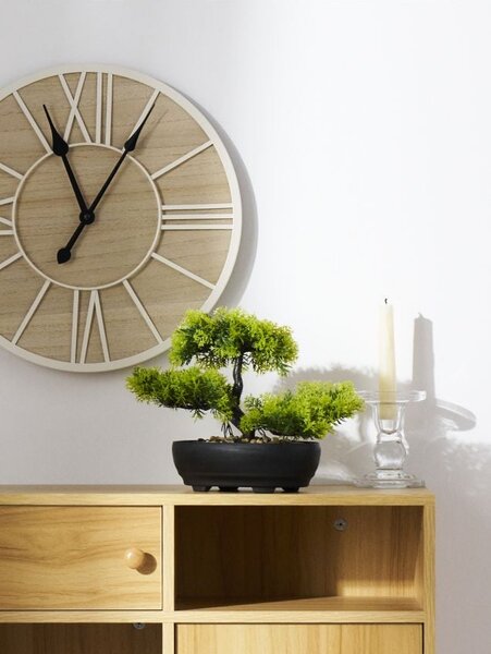 Sinsay - Dekoratív bonsai növény cserépben - zöld