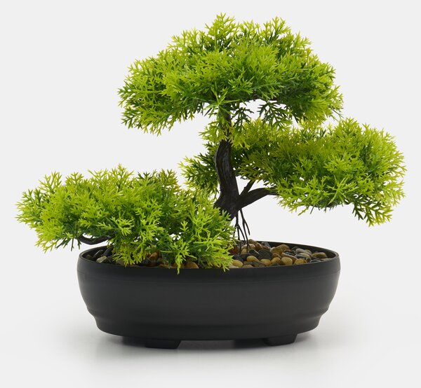 Sinsay - Dekoratív bonsai növény cserépben - zöld