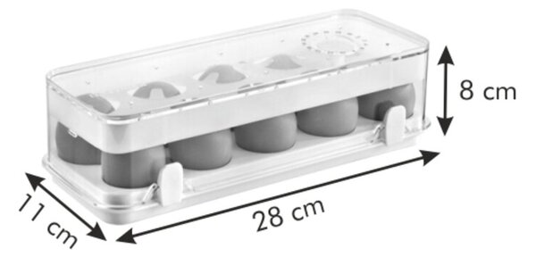 Tescoma Purity Egészséges tároló hűtőbe, 10 tojás