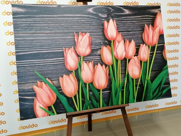 Kép narancssárga tulipánokkal fa lapon