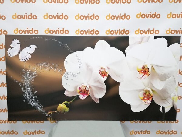 Kép lepke és orchidea