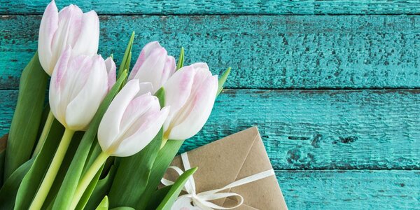 Kép fehér tulipán csokor üzenettel