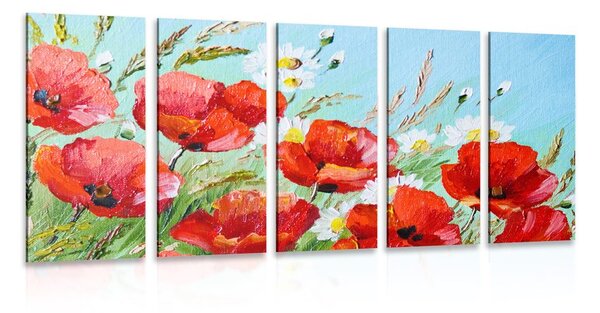 5-részes kép pipacs virágok a mezőn