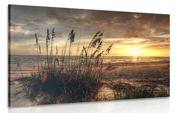 Kép naplemente tengerparton - 120x80