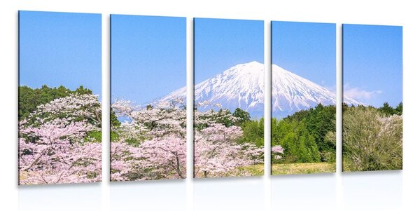 5-részes kép Fuji vulkán