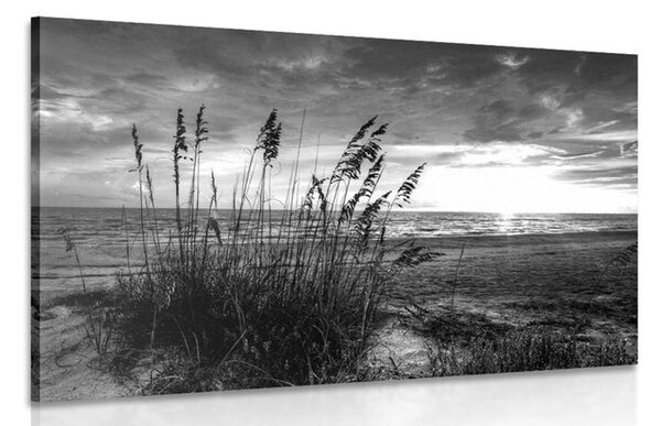Kép naplemente tengerparton fekete fehérben