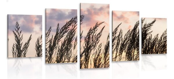 5-részes kép fű a naplementénél