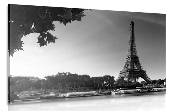 Kép őszi Párizs fekete fehérben