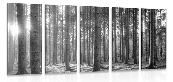 5-részes kép reggel az erdőben fekete fehérben