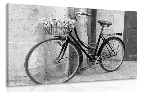 Kép falusias bicikli fekete fehérben