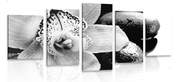 5-részes kép exotikus orchidea fekete fehérben - 100x50