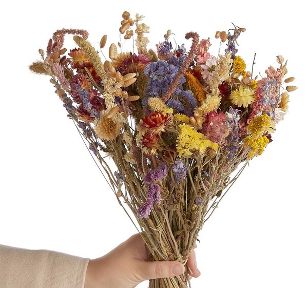 FLOWER MARKET szárított mezei virágcsokor, színes