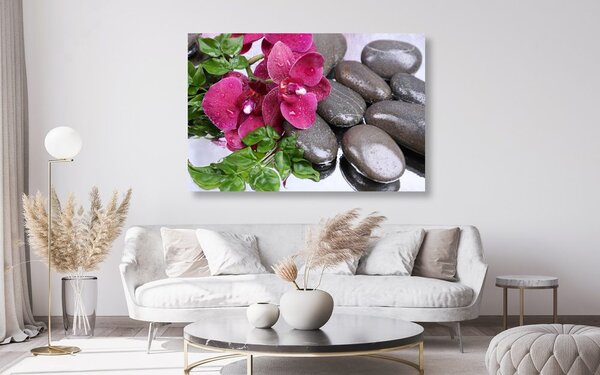 Kép virágzó orchidea és wellness kövek